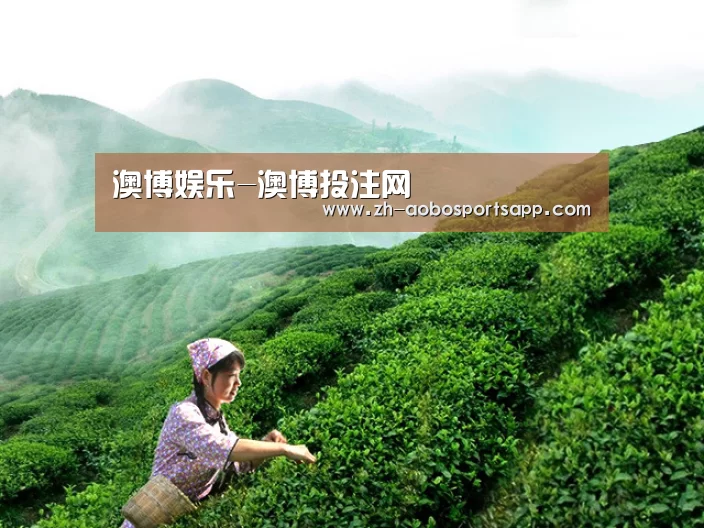 澳博娱乐-澳博投注网