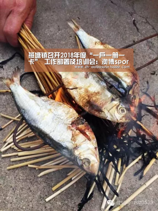 澳博sportsapp