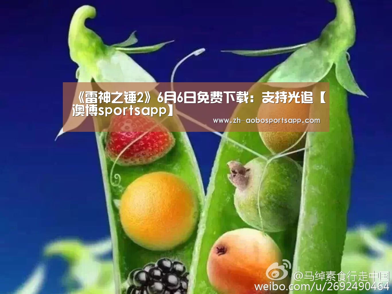 澳博sportsapp