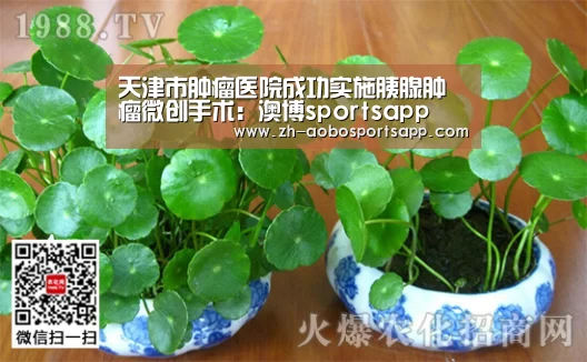 天津市肿瘤医院成功实施胰腺肿瘤微创手术：澳博sportsap