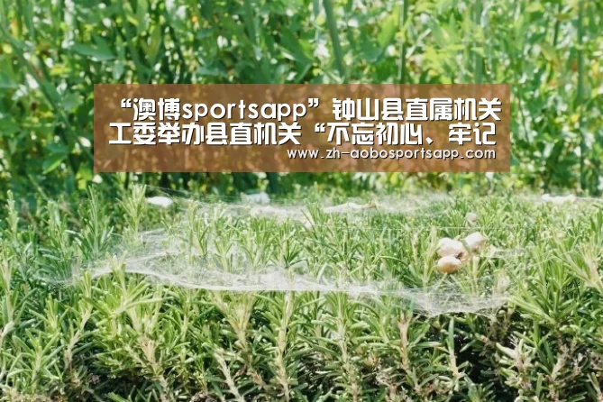 “澳博sportsapp”钟山县直属机关工委举办县直机关“不忘初心、牢记使命”主题教育暨党务干部培训班(图1) 澳博sportsapp
