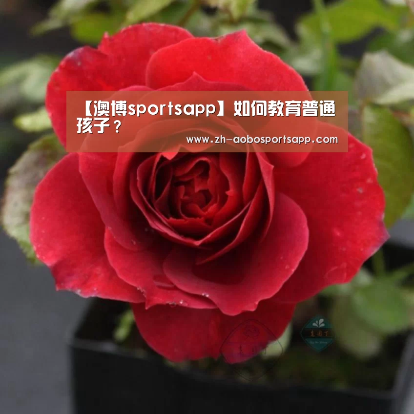 【澳博sportsapp】如何教育普通孩子?(图3) 澳博sportsapp