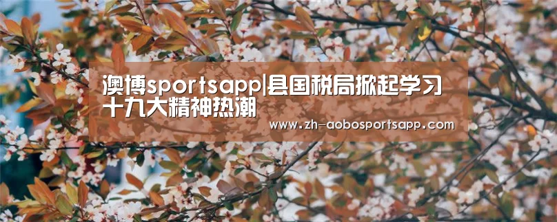 澳博sportsapp|县国税局掀起学习十九大精神热潮(图2) 澳博sportsapp