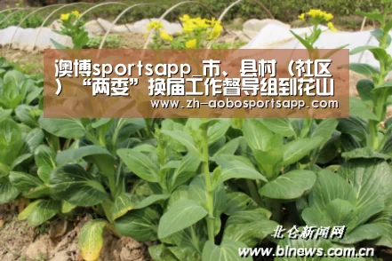 澳博sportsapp